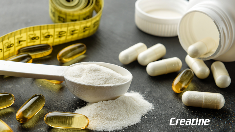 Discover the Different Types of Creatine at Nayble Supplements Shop ...