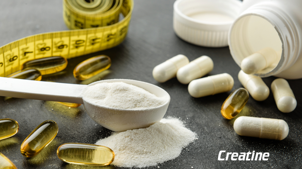 Discover the Different Types of Creatine at Nayble Supplements Shop