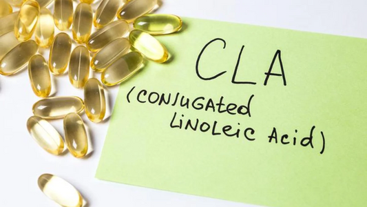 Unlock Your Fitness Goals with Premium CLA Supplements at Nayble Supplement Shop