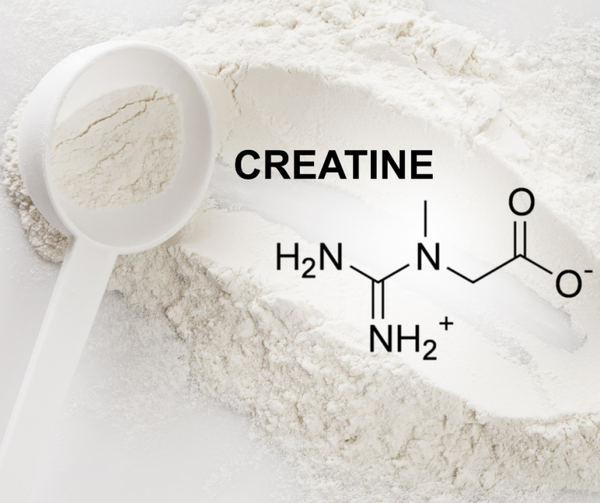 What is Creatine?