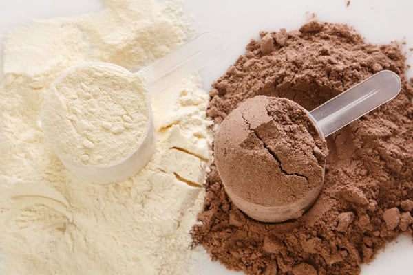 What is Protein Powder?