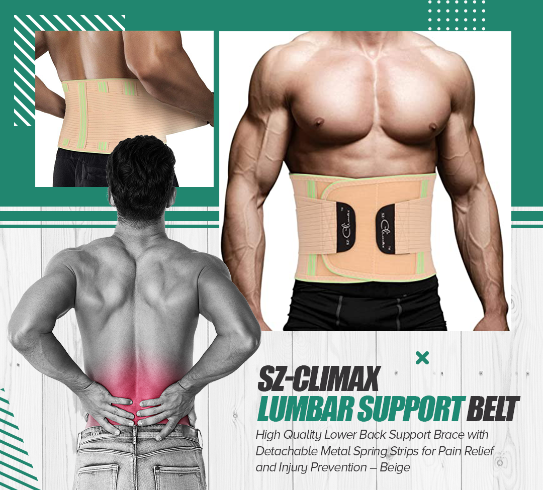 Back Support Belts 