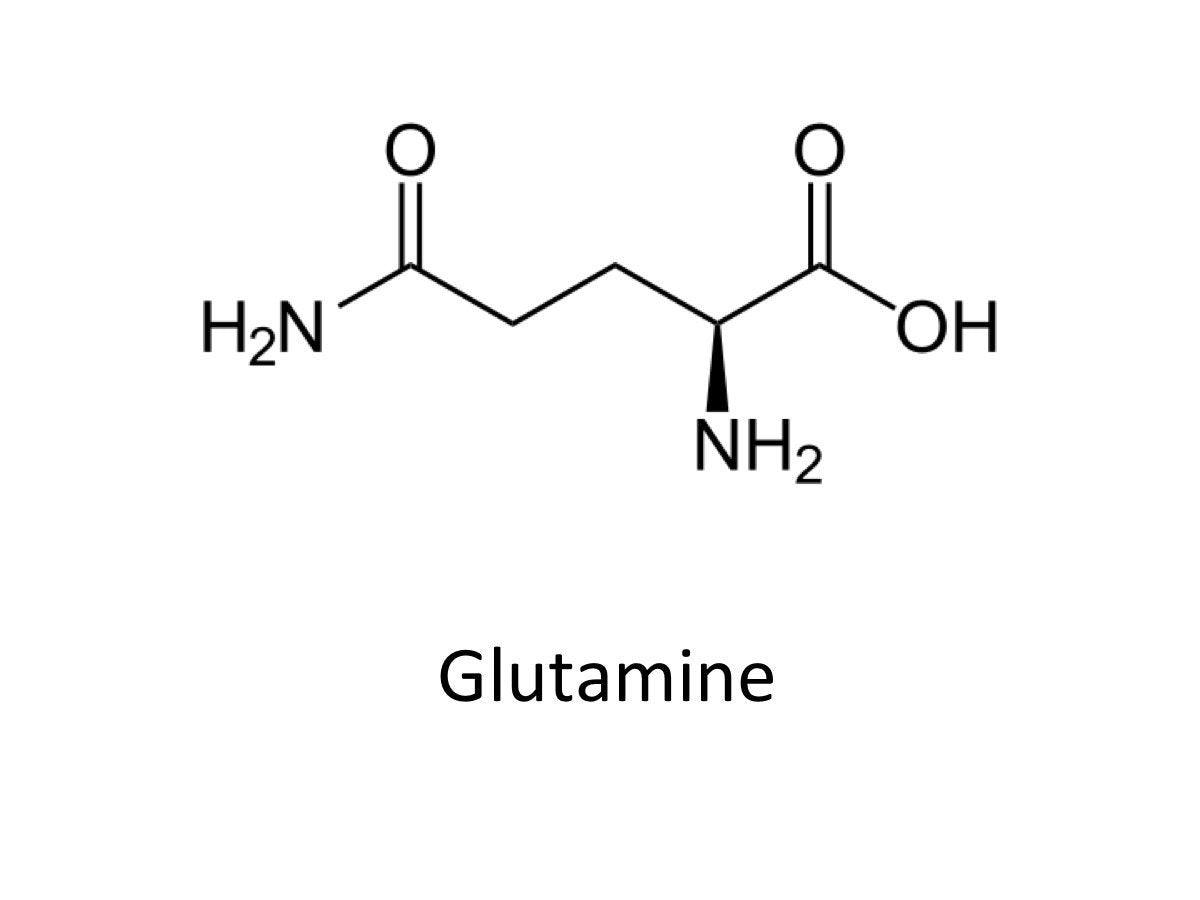 Glutamine