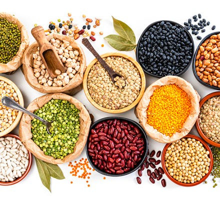 Vegan Protein  
